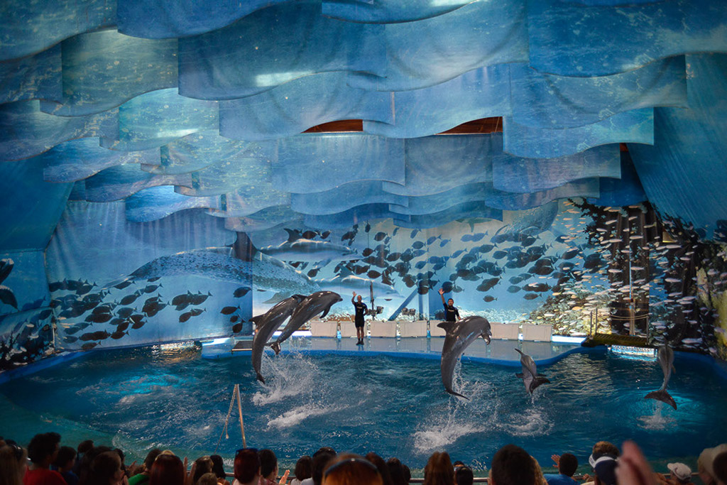 Unterwasseransicht des Delfinariums mit Zuschauern