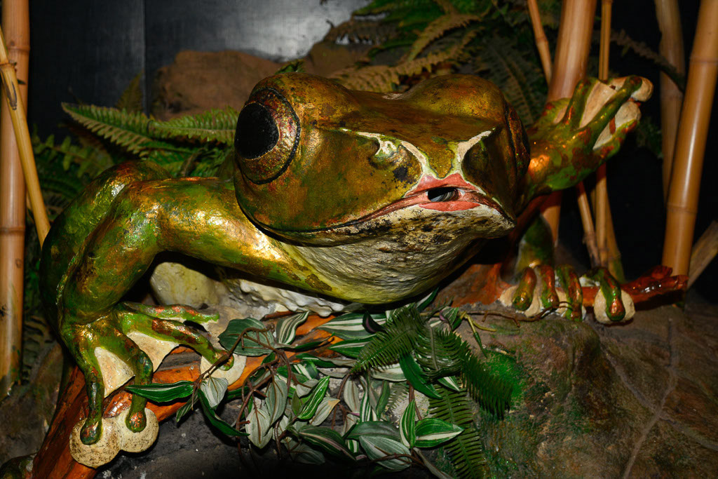 Frosch