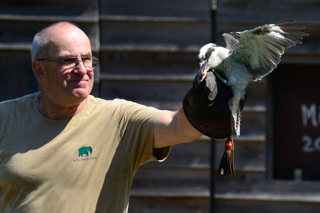 Falkner mit Vogel