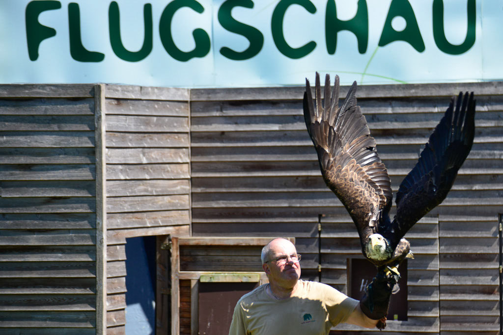 Flugschau-Schild mit Adler