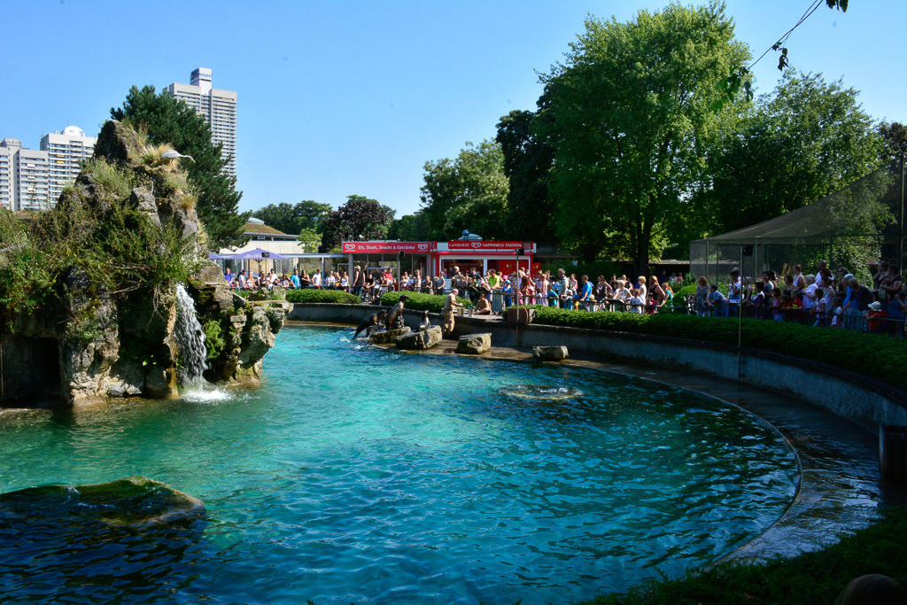 Wasserbecken im Zoo