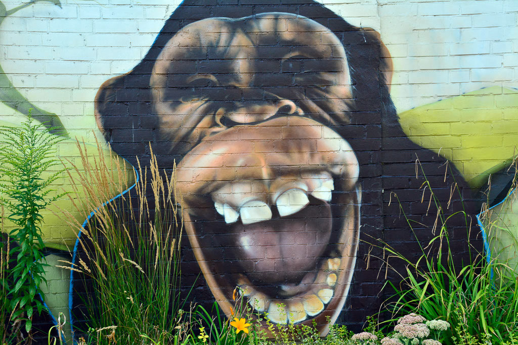 Graffiti im Zoo