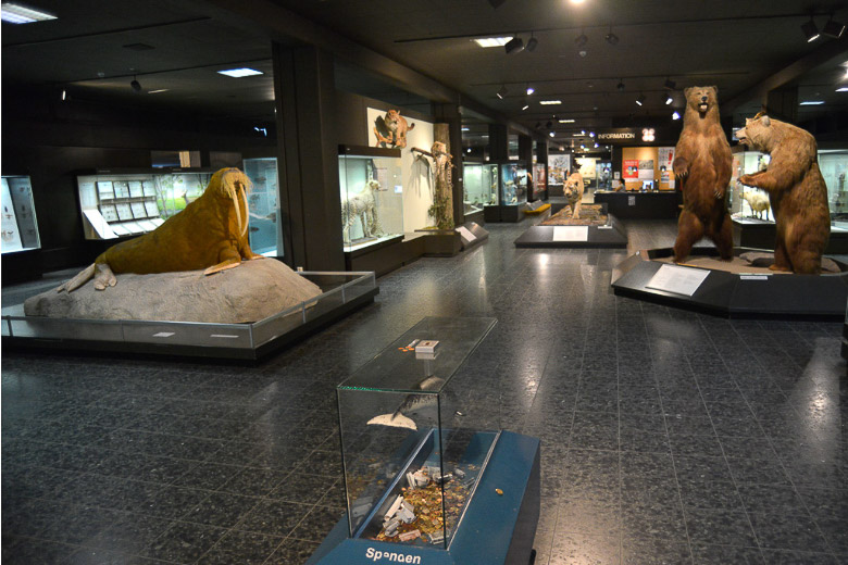 Ausstellungshalle des Schaumuseums
