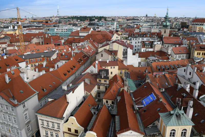 Dächer der Altstadt vom Turm