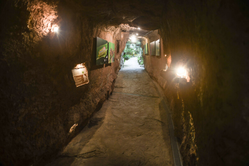 Beleuchteter Tunnel im Garten