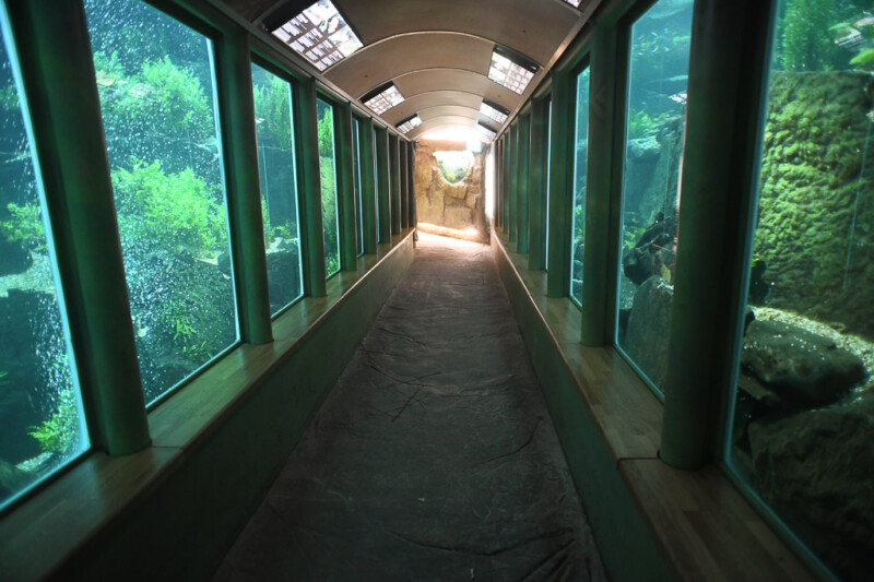 Tunnel mit Aquarium