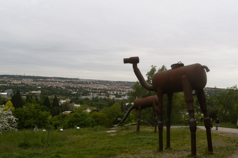 Kamelskulptur auf einer Wiese