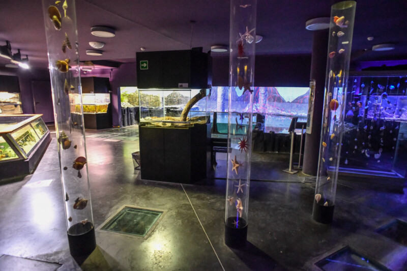 Aquariumshalle im Zoo
