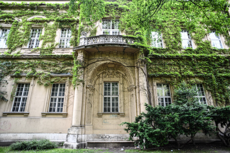 Fassade mit Balkon und Efeu