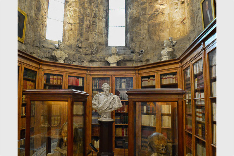 Vitrinen im Museum