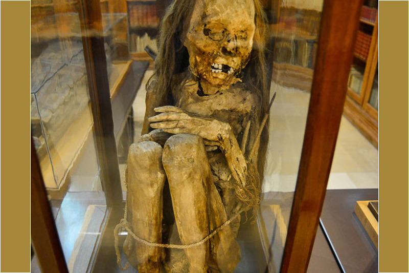Zweite Mumie in einer Vitrine