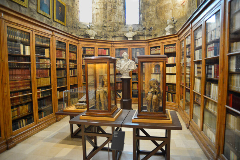 Bibliothek mit Vitrinen im Museum