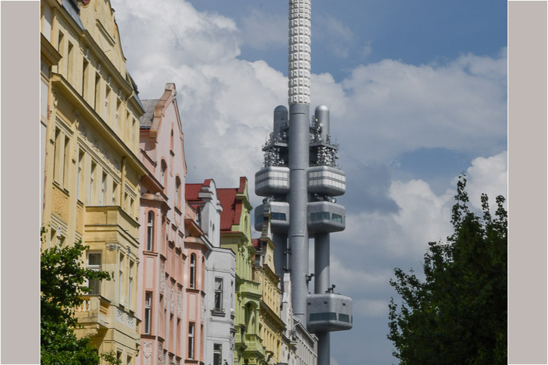 Der Fernsehturm zwischen Bäumen