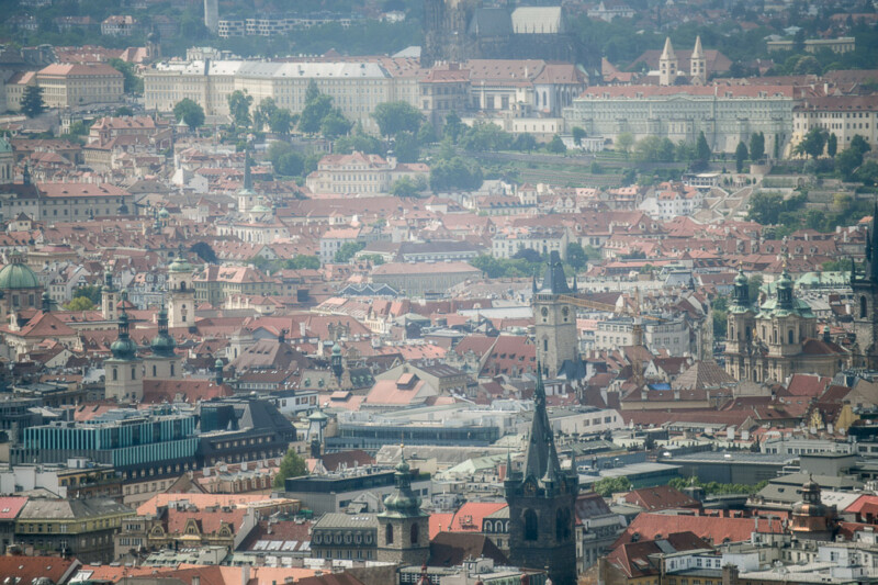 Blick auf die Altstadt