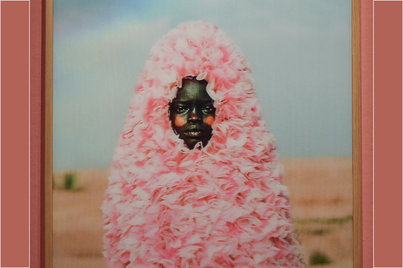 Fotografie einer von rosa Blüten bedeckten Person im Foam
