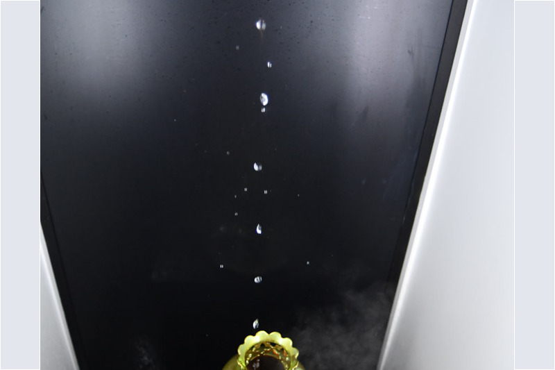 Ausstellungsstück in einer Vitrine mit dunklem Hintergrund