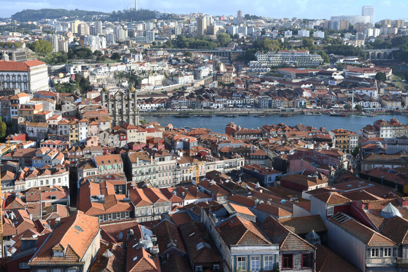 Blick vom Turm auf Dächer und Douro