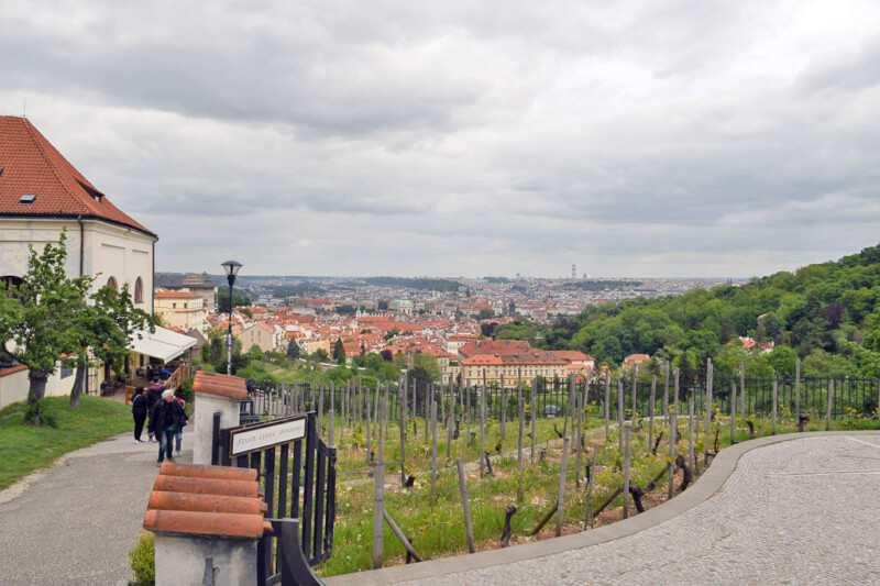 Blick über den Weinberg auf Prag