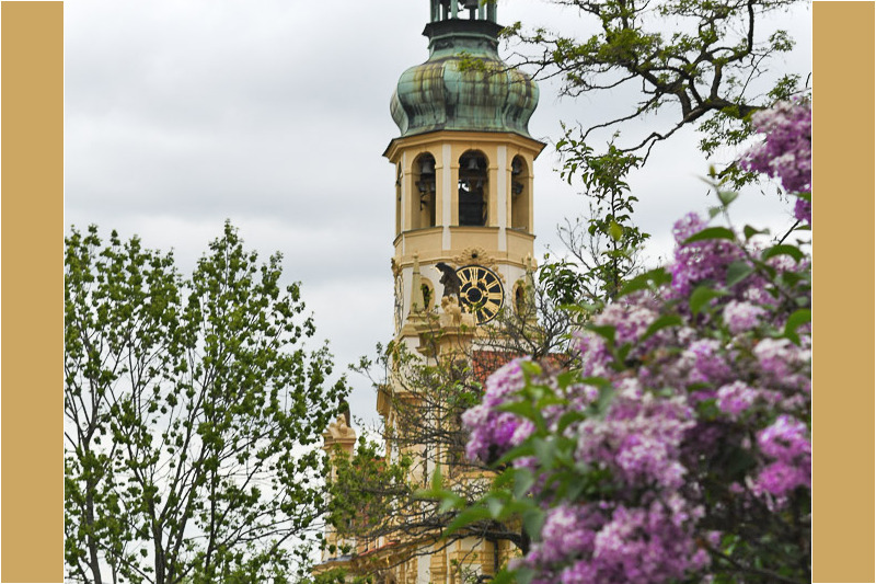 Glockenturm hinter blühendem Flieder