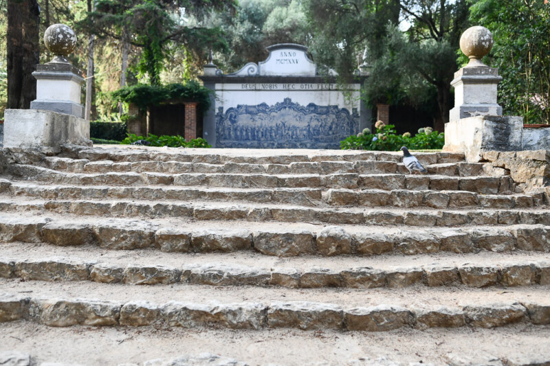 Treppe im Garten