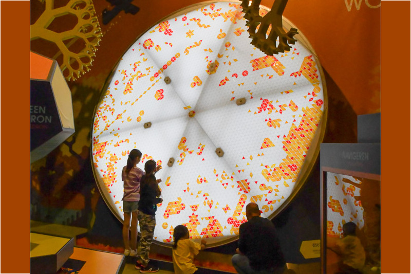 Großes Rad mit bunten Segmenten in einer Ausstellung im NEMO