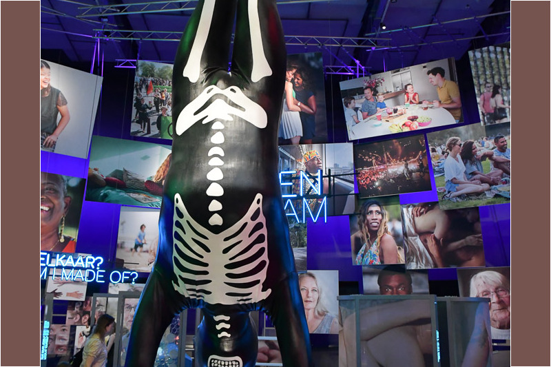 Skelettfigur in einer Ausstellung im NEMO