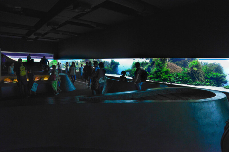 Dunkler Ausstellungsraum