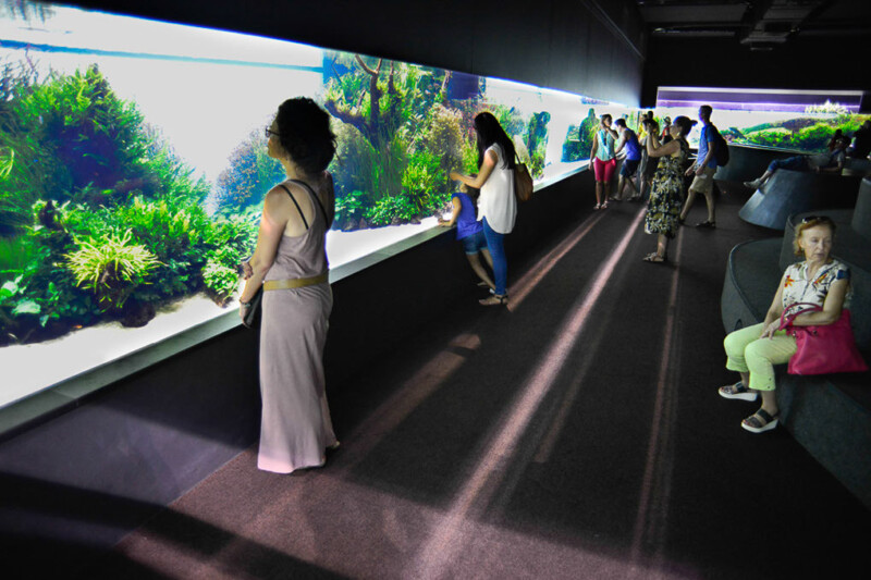 Besucher am langen Aquarium