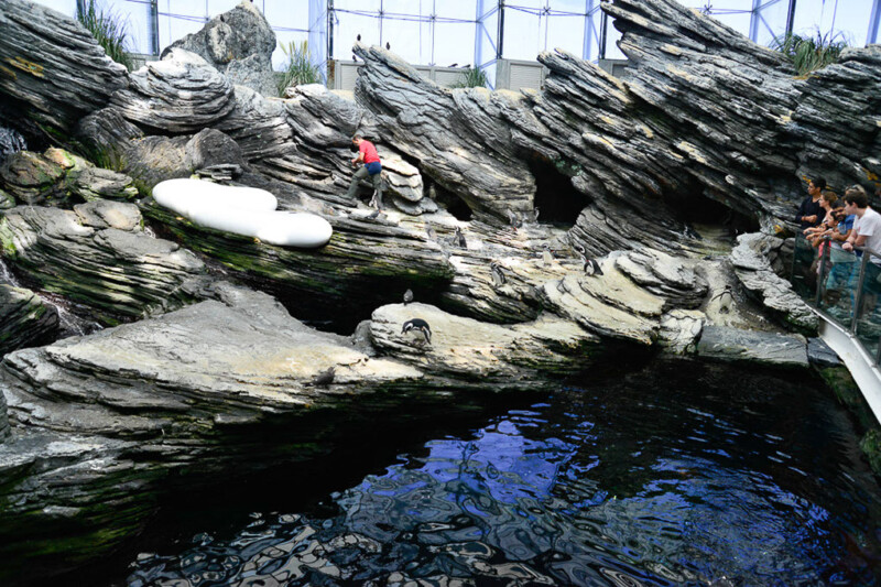 Felsenküste des Nordatlantiks