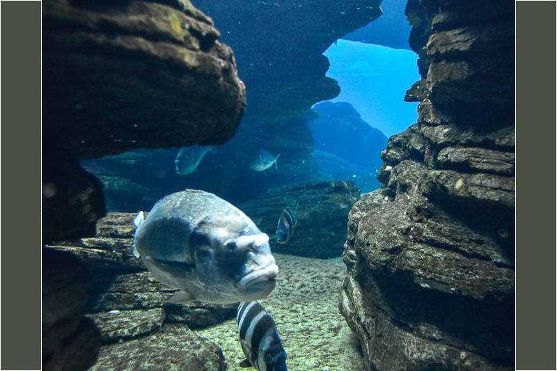Felsspalte im Becken
