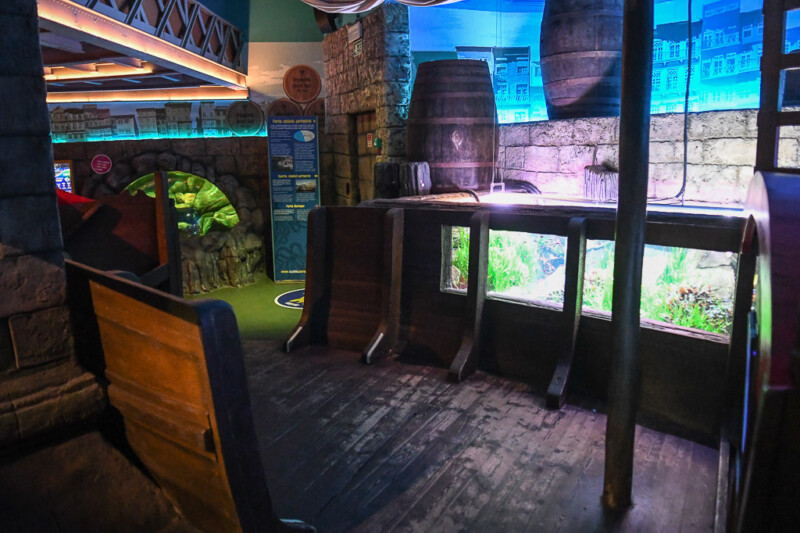 Aquarienbereich mit blauem Licht