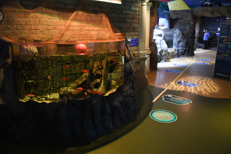 Beleuchtetes Becken im Sea Life