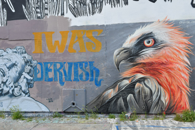 Wandbild mit einem Vogel mit orangefarbener Brust