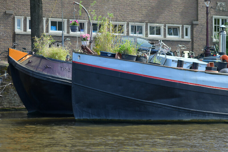 Hausboote mit Pflanzen auf dem Deck