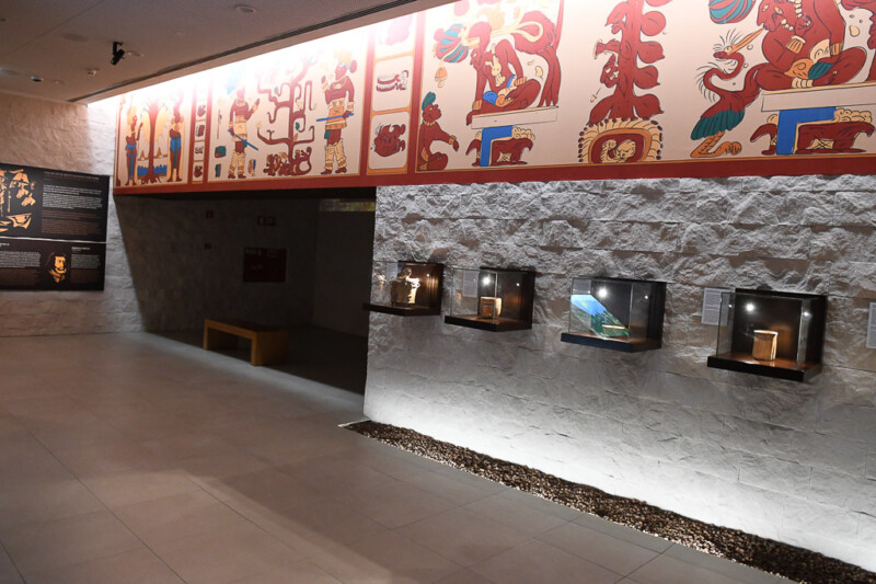 Ausstellungsgang mit Vitrinen