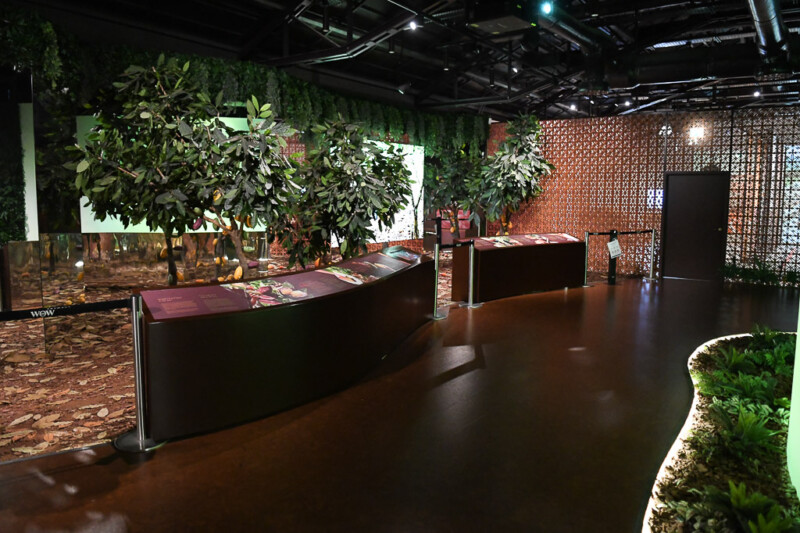 Dschungel-Ausstellungsraum mit Tischen