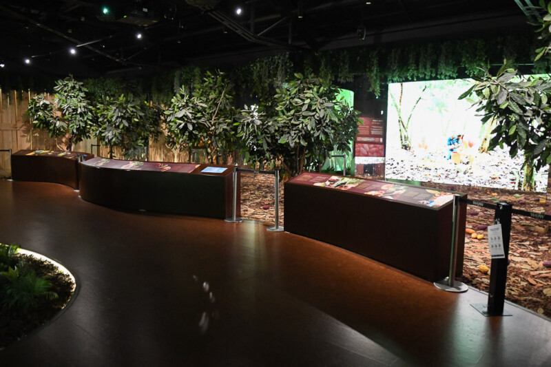 Ausstellungsraum mit Pflanzen