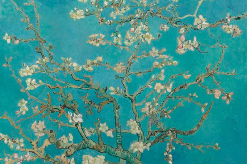 Gemälde Mandelblüten von Vincent van Gogh mit weißen Blüten an Zweigen vor türkisfarbenem Himmel