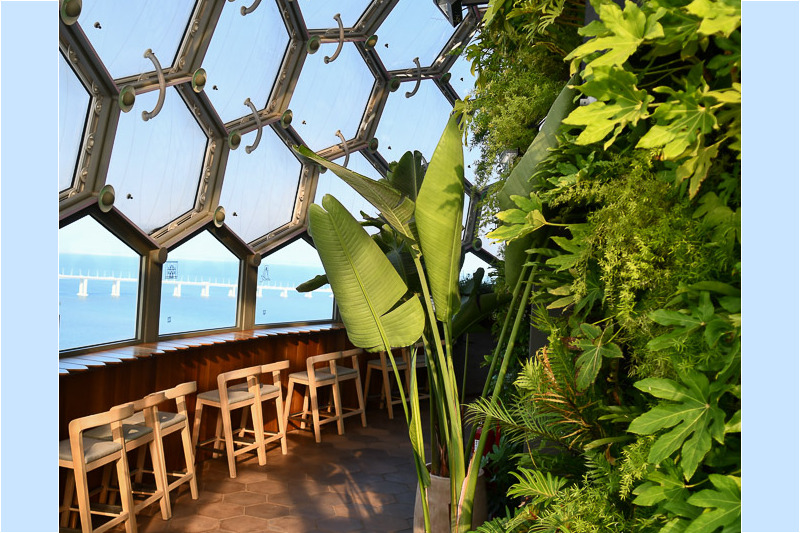 Wabenfenster mit Pflanzen, zweite Ansicht