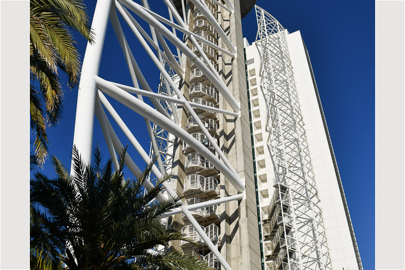 Der Turm mit Palmen