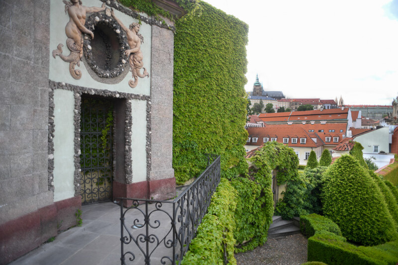 Portal an einer begrünten Wand