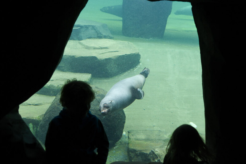Besucher vor einem Unterwasserbecken